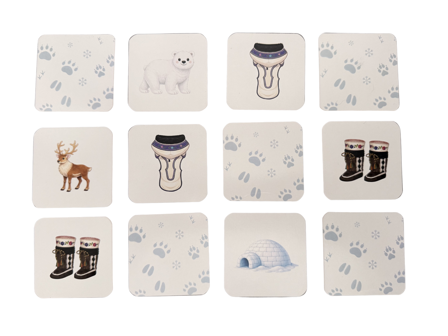 Arctic-Themed Memory Cards