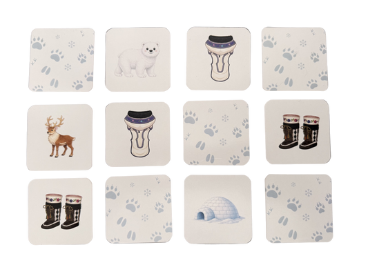 Arctic-Themed Memory Cards